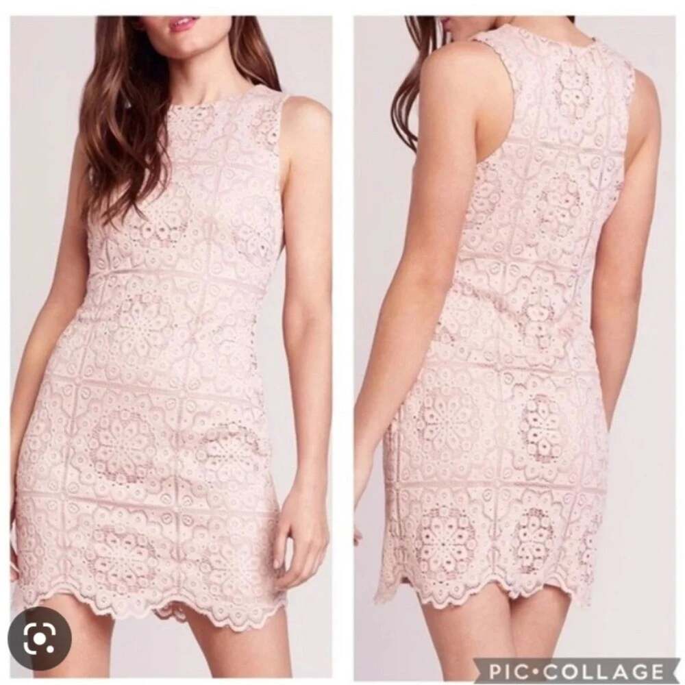 Jack by BB Dakota Ace of Lace Dress Rose Pink Sleeveless Sheath M JJ108175RXS